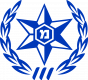 1200px-Emblem_of_Israel_Police_Blue.svg_.png